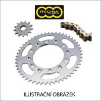 Řetězová sada Regina pro Kawasaki Z 1000